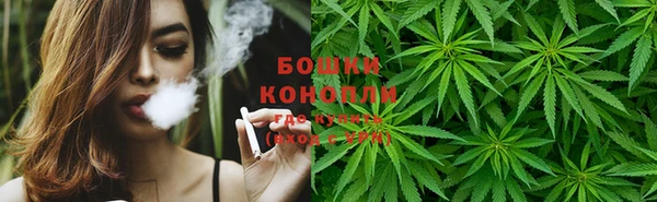 ПСИЛОЦИБИНОВЫЕ ГРИБЫ Балахна