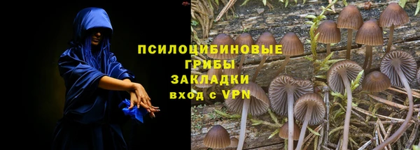 ГАЛЛЮЦИНОГЕННЫЕ ГРИБЫ Баксан