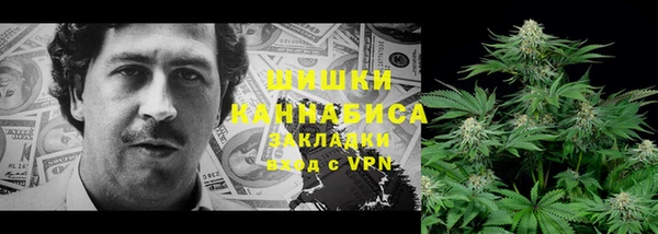 ПСИЛОЦИБИНОВЫЕ ГРИБЫ Балахна
