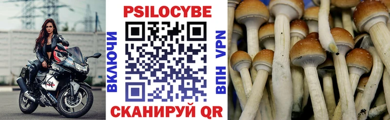 где можно купить   Новый Уренгой  Галлюциногенные грибы GOLDEN TEACHER 